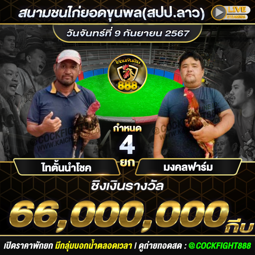 โปรแกรมไก่ชน  สนามชนไก่ยอดขุนพล(สปป.ลาว)  วันที่ 09 ก.ย. 67