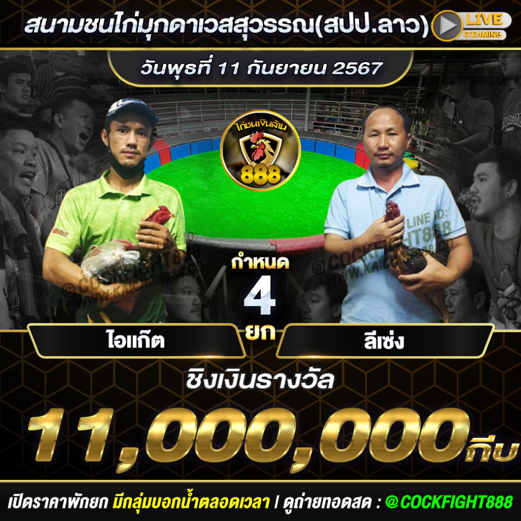 โปรแกรมไก่ชน สนามชนไก่มุกดาเวสสุวรรณ(สปป.ลาว) วันที่ 11 ก.ย. 67