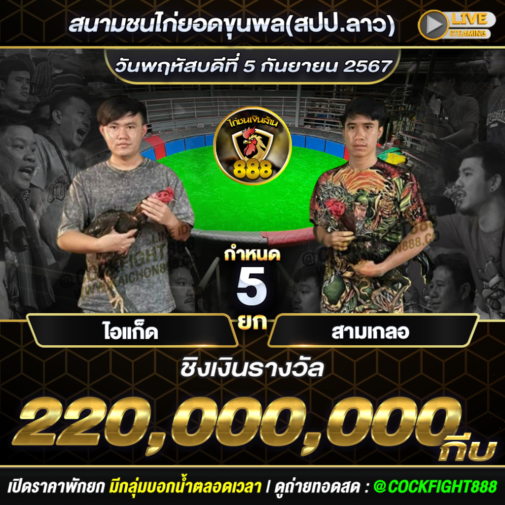 โปรแกรมไก่ชน  สนามชนไก่ยอดขุนพล(สปป.ลาว) วันที่ 05 ก.ย. 67