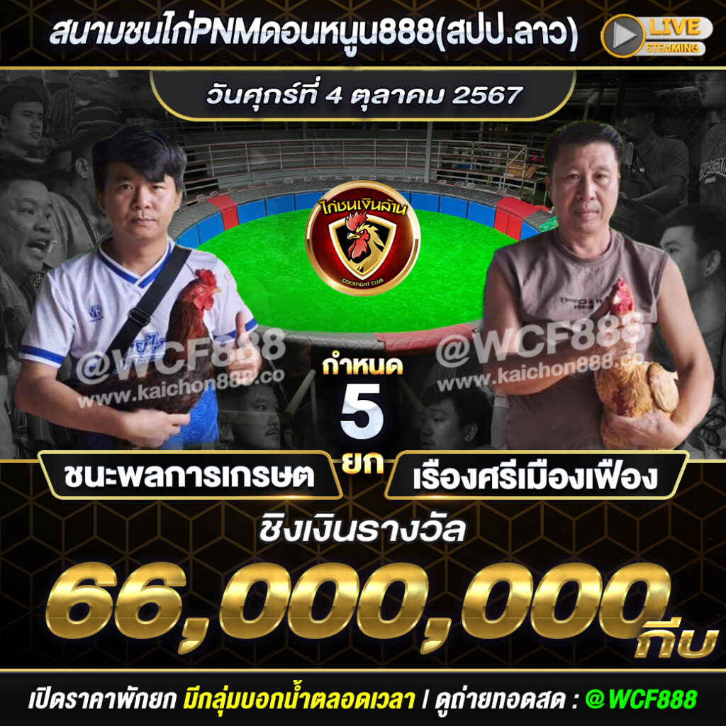 โปรแกรมไก่ชน สนามชนไก่PNMดอนหนูน888(สปป.ลาว) วันที่ 4 ต.ค. 67