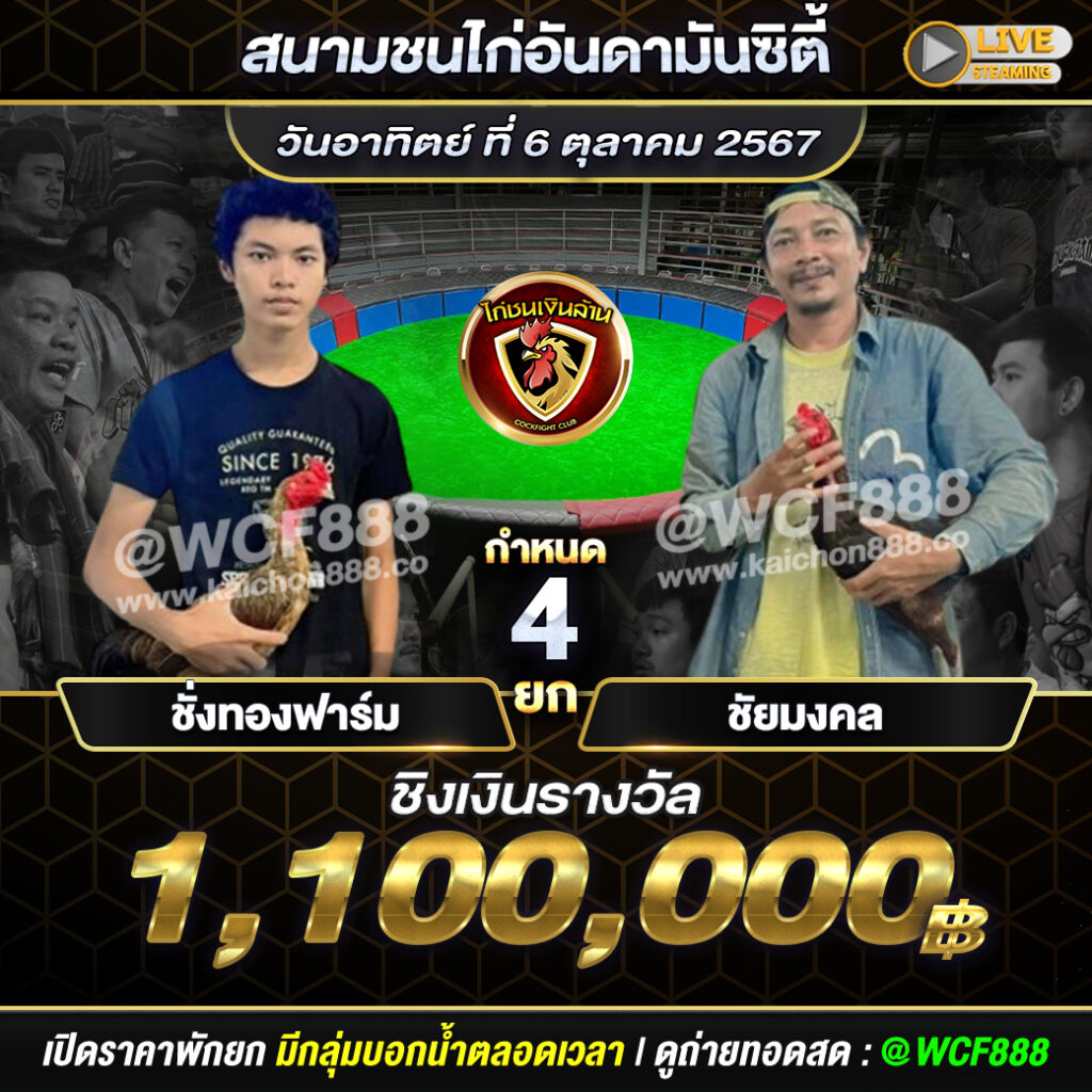 โปรแกรมไก่ชน สนามชนไก่อันดามันซิตี้ วันที่ 6 ต.ค. 67