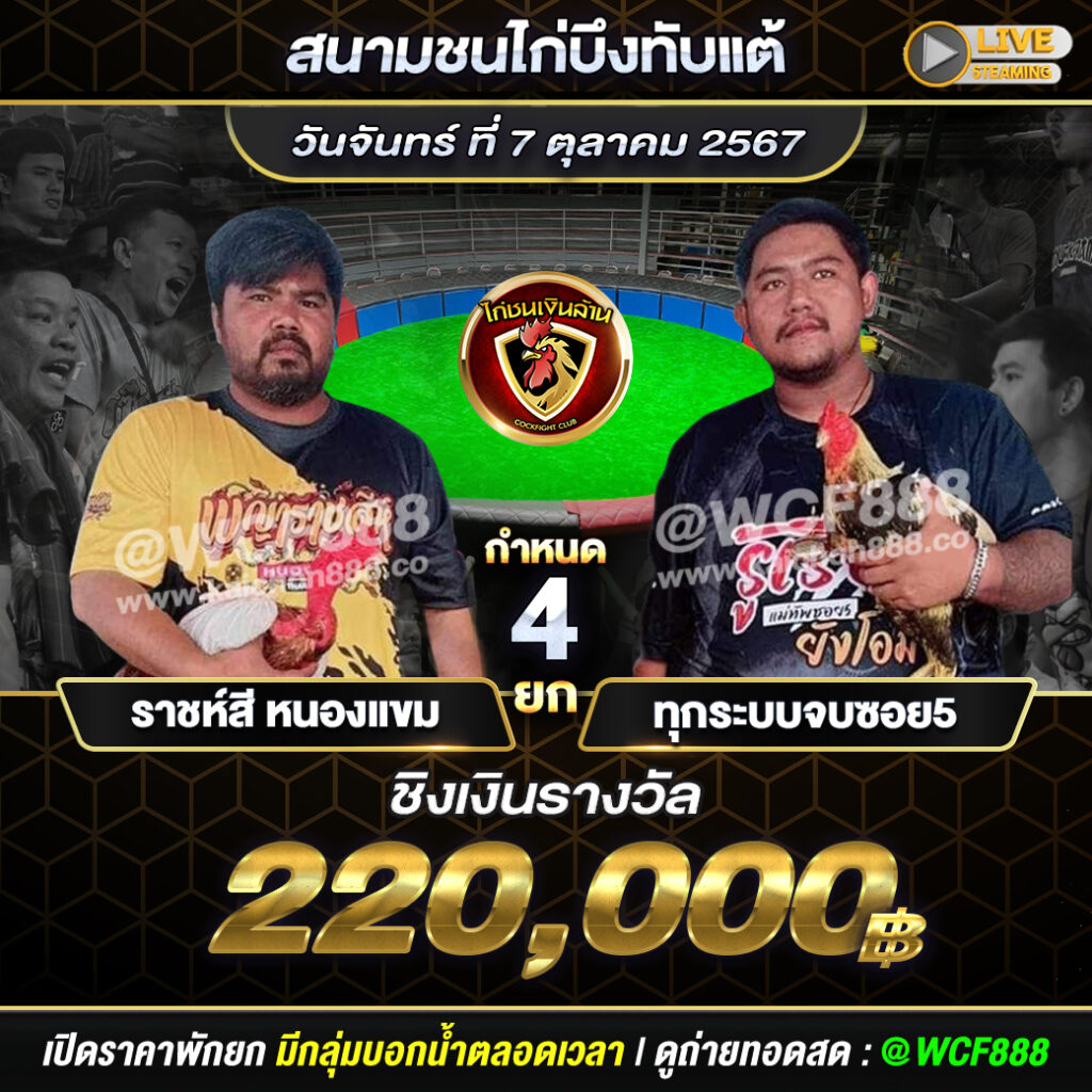 โปรแกรมไก่ชน สนามชนไก่บึงทับแต้ วันที่ 7 ต.ค. 67