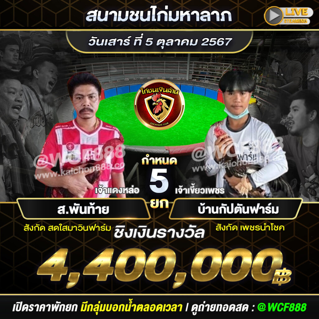 โปรแกรมไก่ชน สนามชนไก่มหาลาภ วันที่ 5 ต.ค. 67