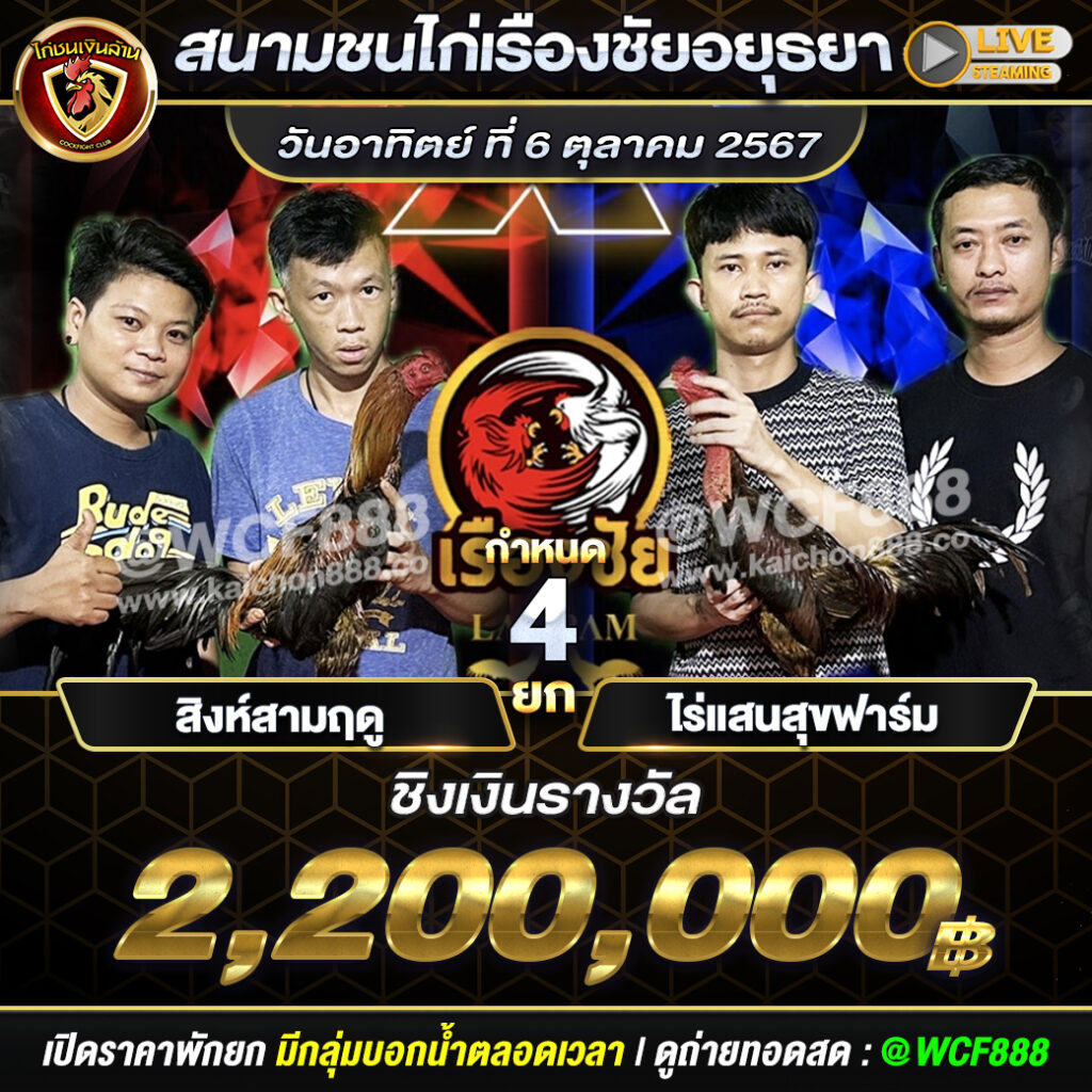 โปรแกรมไก่ชน สนามชนไก่เรืองชัย วันที่ 6 ต.ค. 67