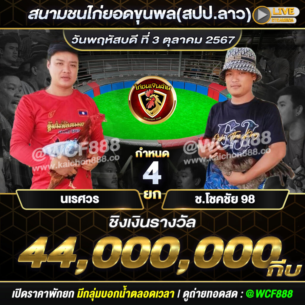 โปรแกรมไก่ชน สนามชนไก่ยอดขุนพล(สปป.ลาว) วันที่ 3 ต.ค. 67